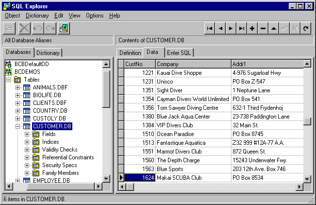 Работа с базами данных в Borland C++ Builder - SQL Explorer и словарь ...